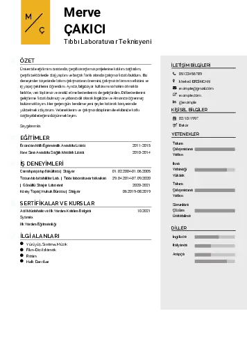Laboratuvar Teknisyeni Cv Örnekleri cv indir